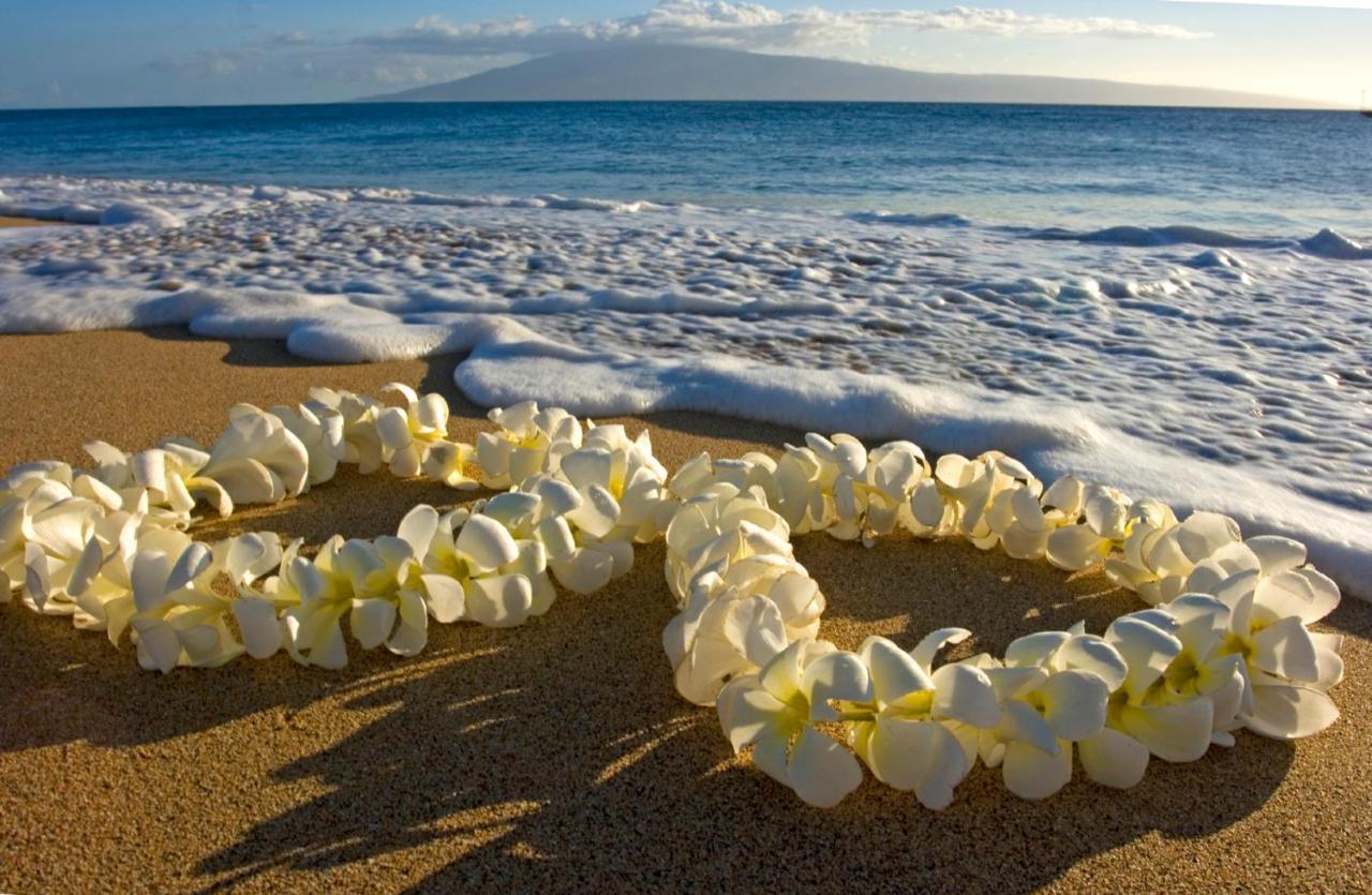 Mountain View Getaway, Free Parking And Beach Steps Away Honolulu Exterior foto