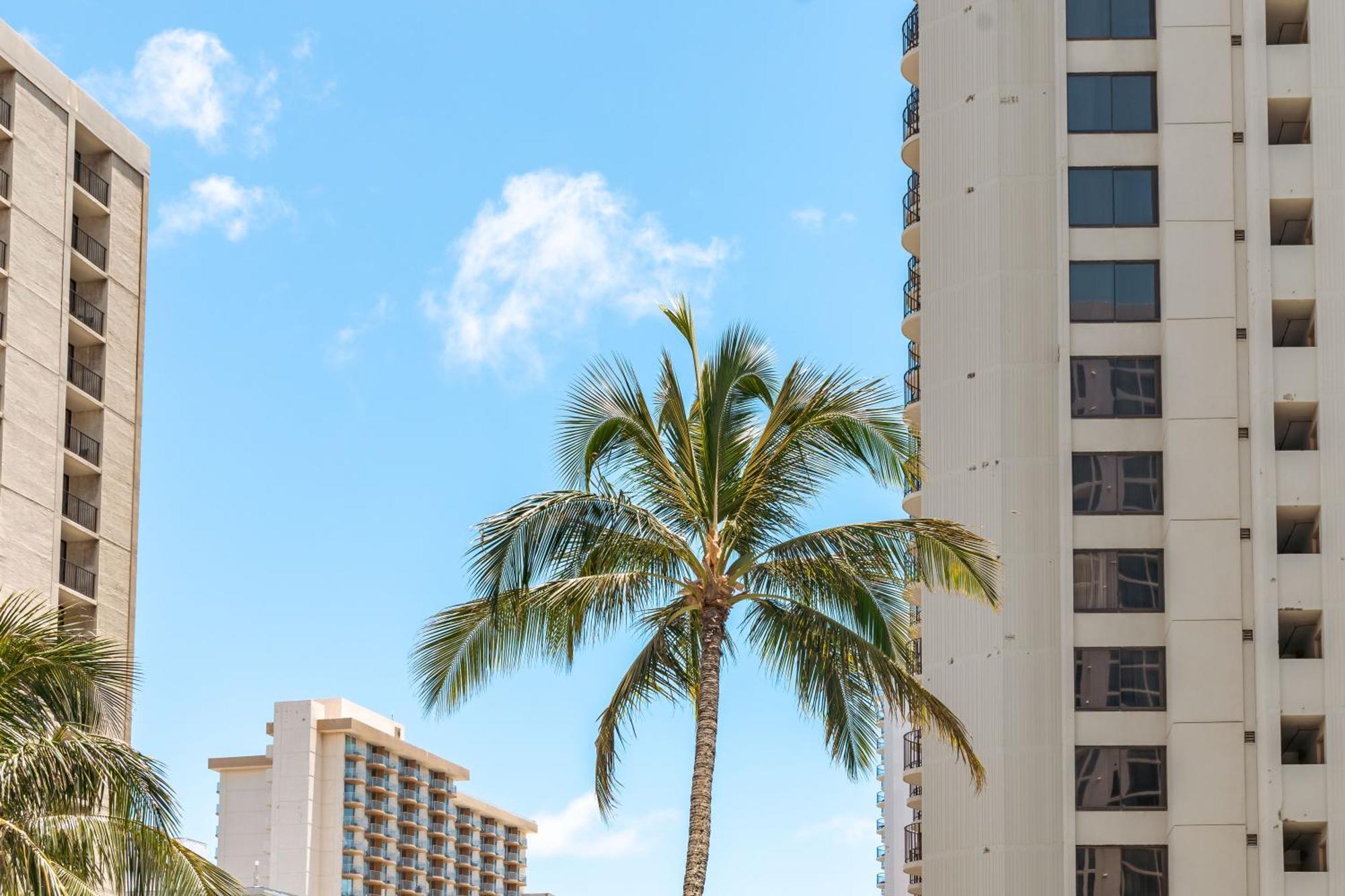 Mountain View Getaway, Free Parking And Beach Steps Away Honolulu Exterior foto